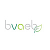 BVAEB-Schrittechallenge